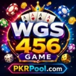 WGS456 Game