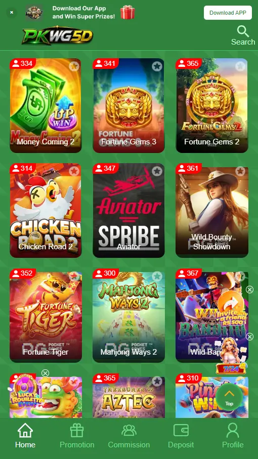 PKWG5D game image